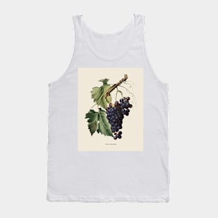 Black Grape Antique Botanical Illustration Tank Top